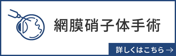 網膜硝子体手術